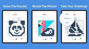 Nonogram Picture Cross Puzzle