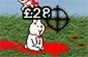 Flower Patch Bunny Guidance