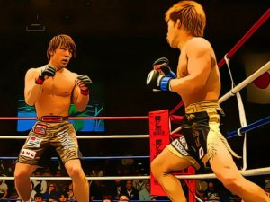 MMA Fighters Jigsaw Puzzle Game - Puzzle Game